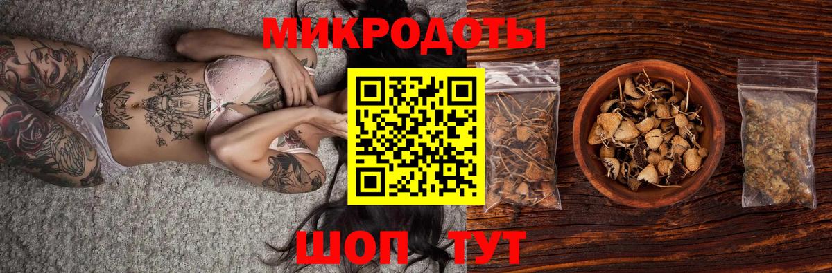 Галлюциногенные грибы Psilocybine cubensis Новошахтинск