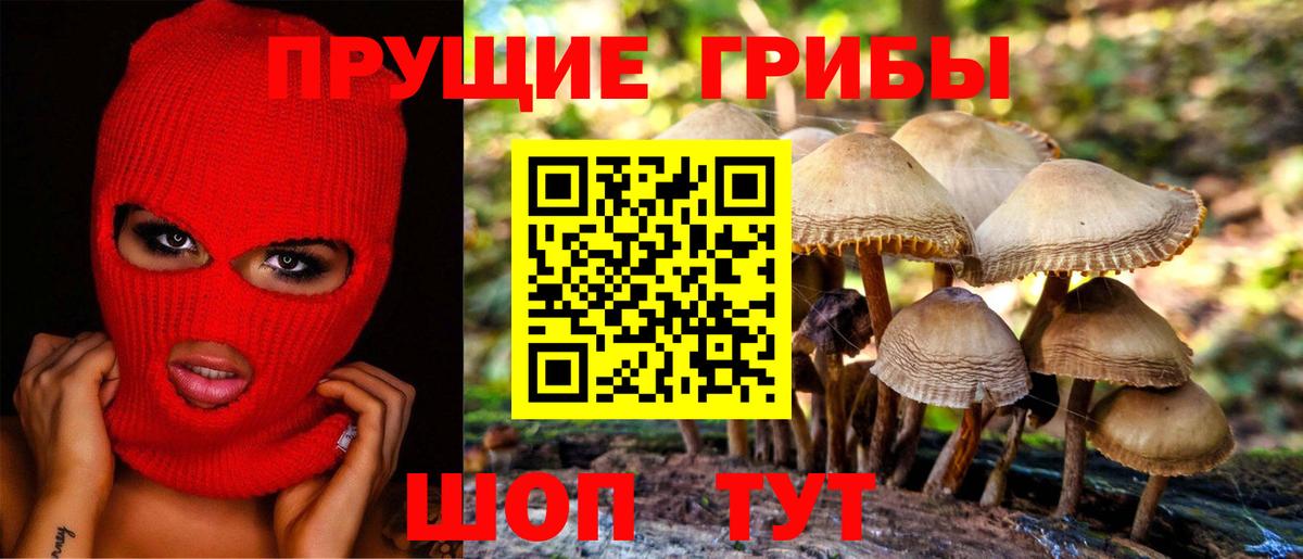 Псилоцибиновые грибы Cubensis  Вход с VPN  Новошахтинск 