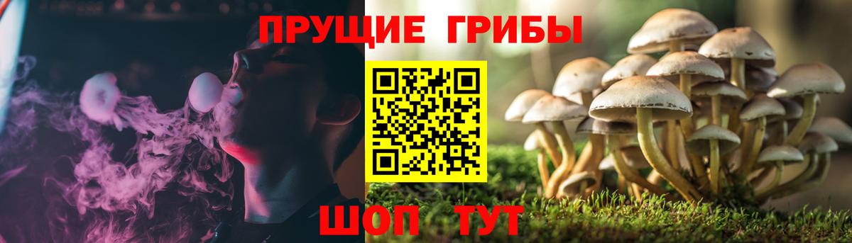 МДМА Новошахтинск